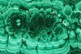 Flowery Polished Malachite Slab - DR Congo #360535-1